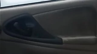 Public dick flash in car